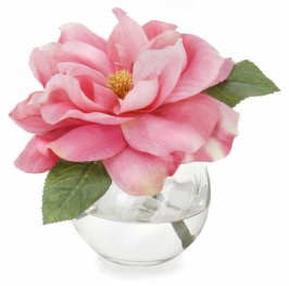 Diane James Silk Rose