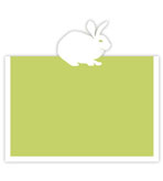 unique-place-cards-bunny
