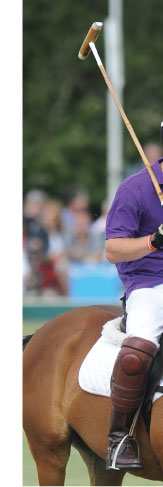 horsey_02