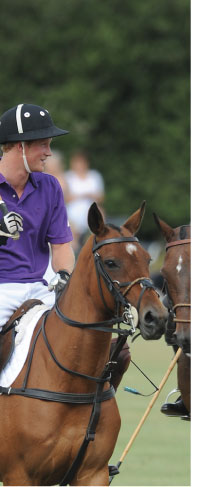horsey_03