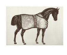 horse bath mat