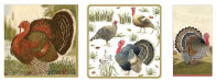 thanksgiving-paraphernalia
