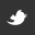 twitter twitter