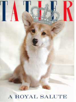 corgi-mania-tatler